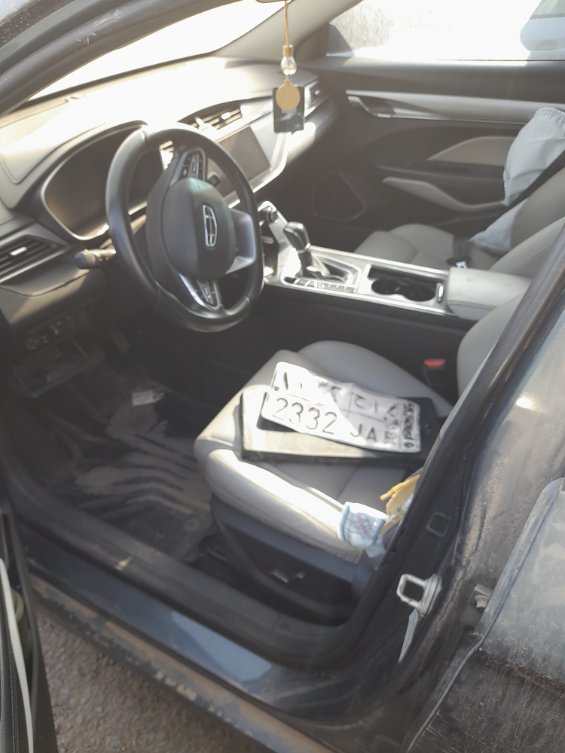 جيلي بين راي  2022 image