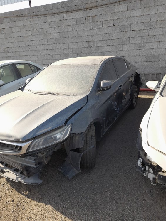 جيلي بين راي  2022 image