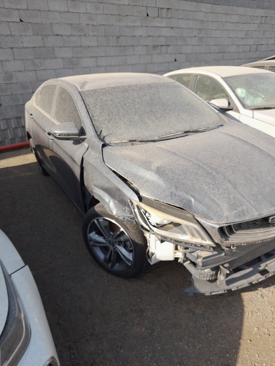 جيلي بين راي  2022 image