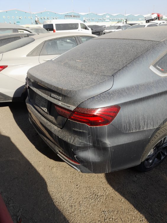 جيلي بين راي  2022 image