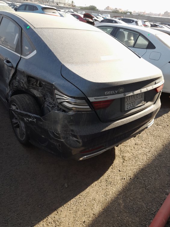 جيلي بين راي  2022 image