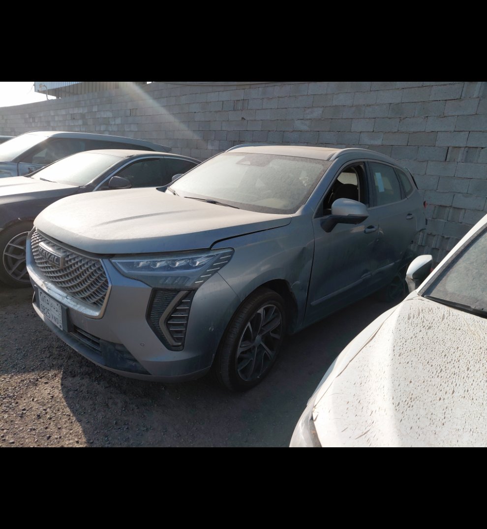 هافال جوليان  2021 image