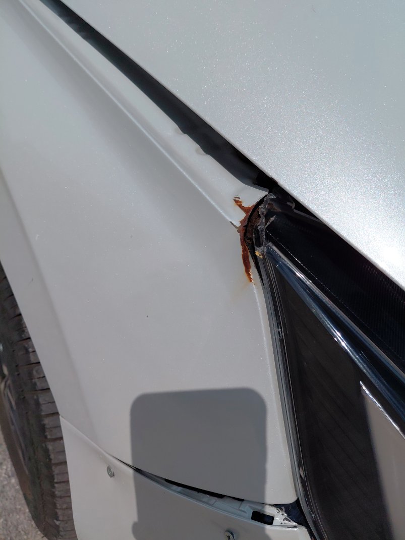 Toyota Yaris Y 2024 image
