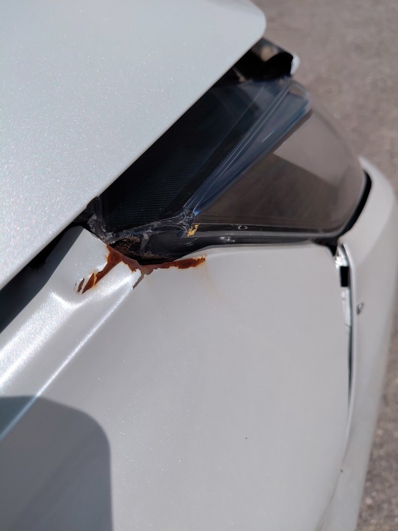 Toyota Yaris Y 2024 image