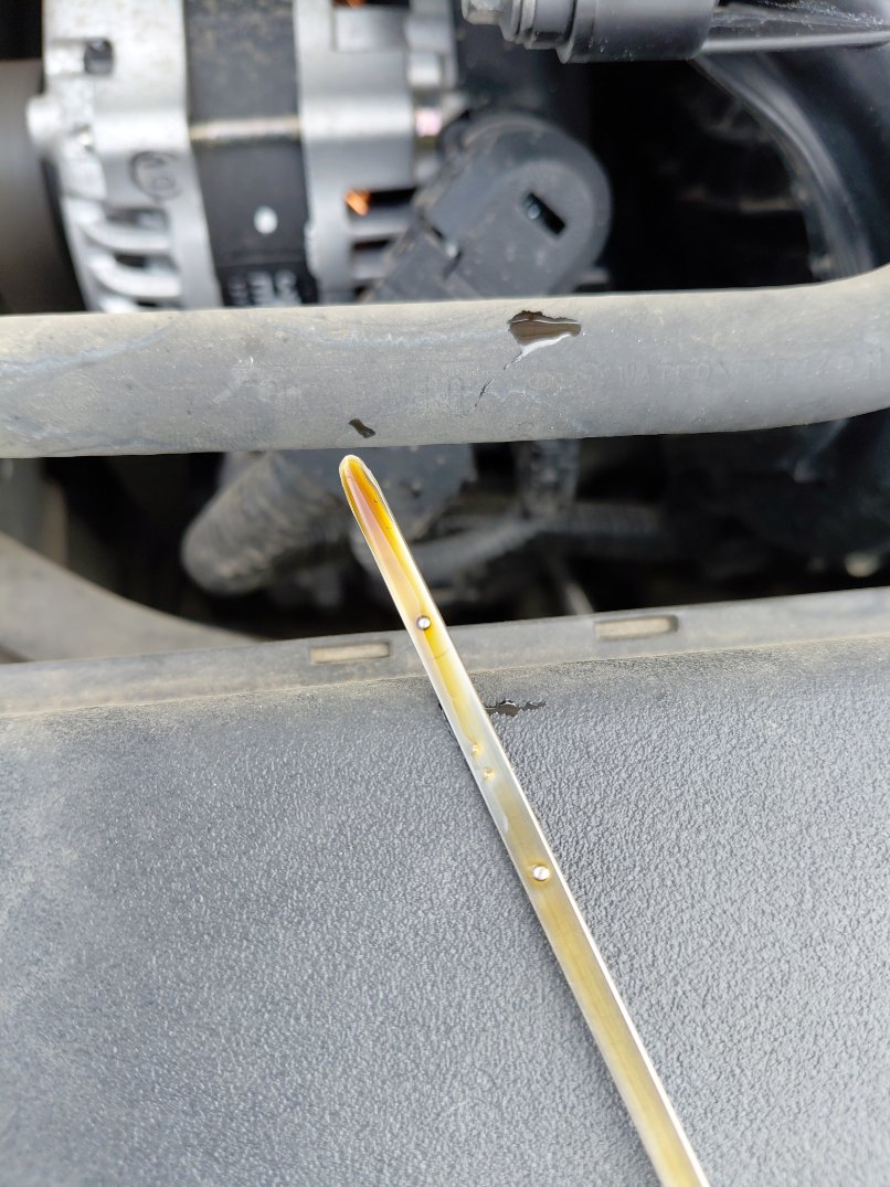 تويوتا كورولا XLI 2025 image