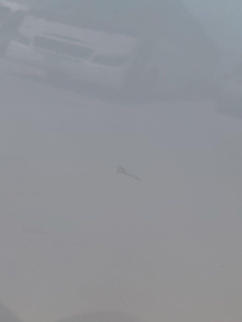 Toyota Innova GLE HEV  2024 image