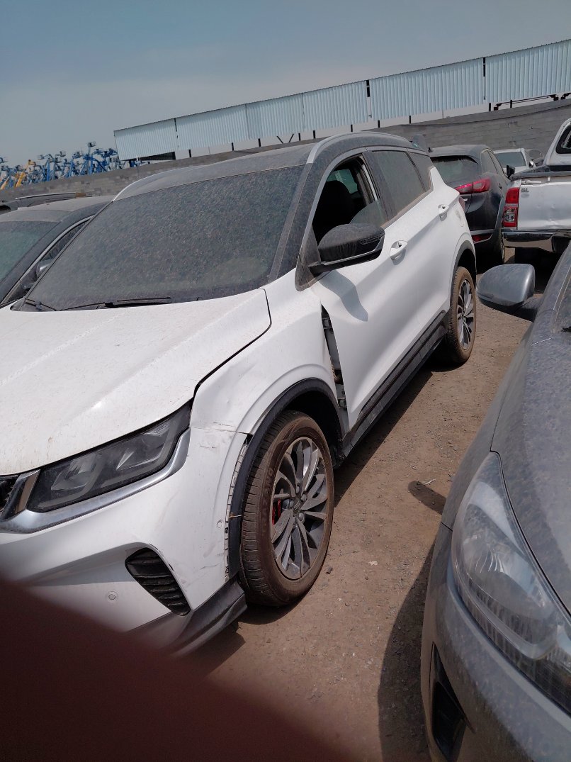 جيلي كول راي  2023 image