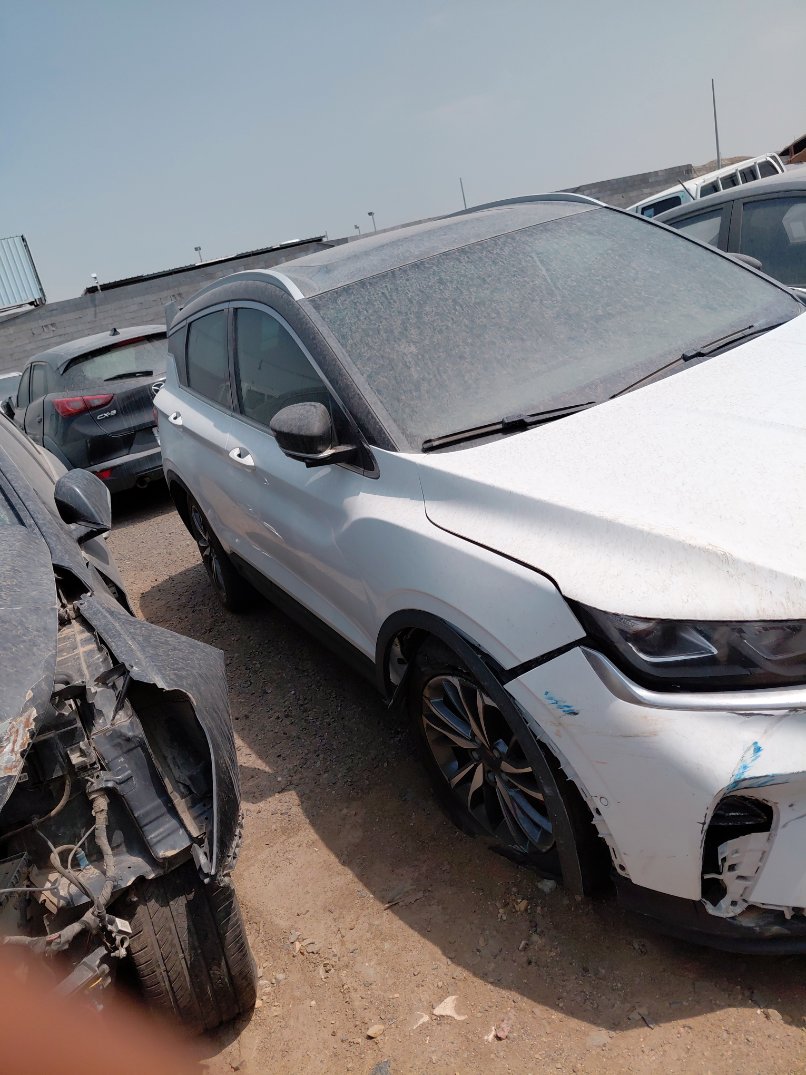 جيلي كول راي  2023 image