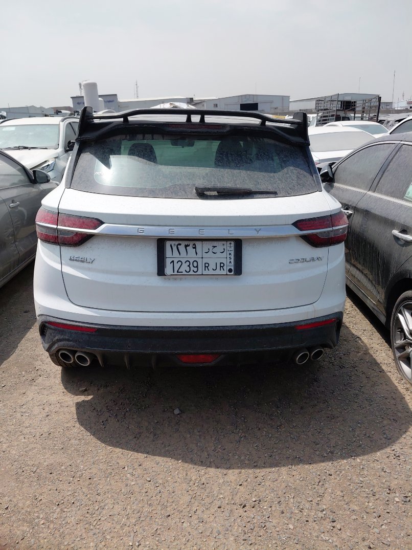 جيلي كول راي  2023 image