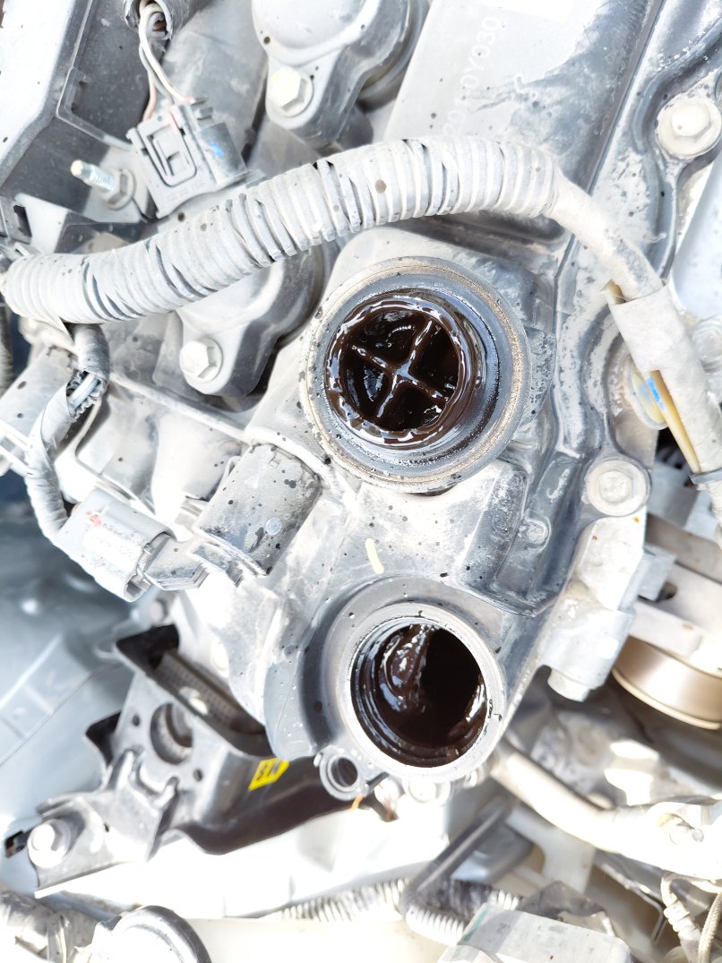 Toyota Yaris Y PLUS 2021 image