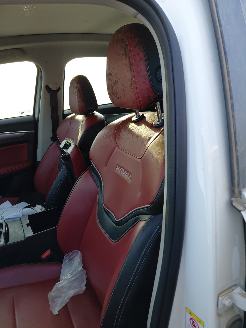 هافال جوليان  2023 image