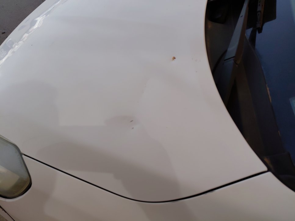 نيسان صني FLEET 2022 image