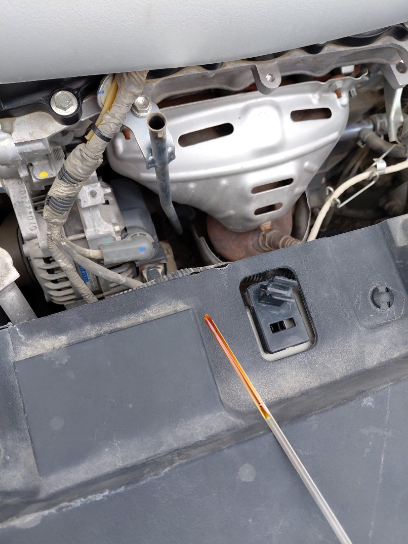Toyota Yaris Y FLT 2022 image