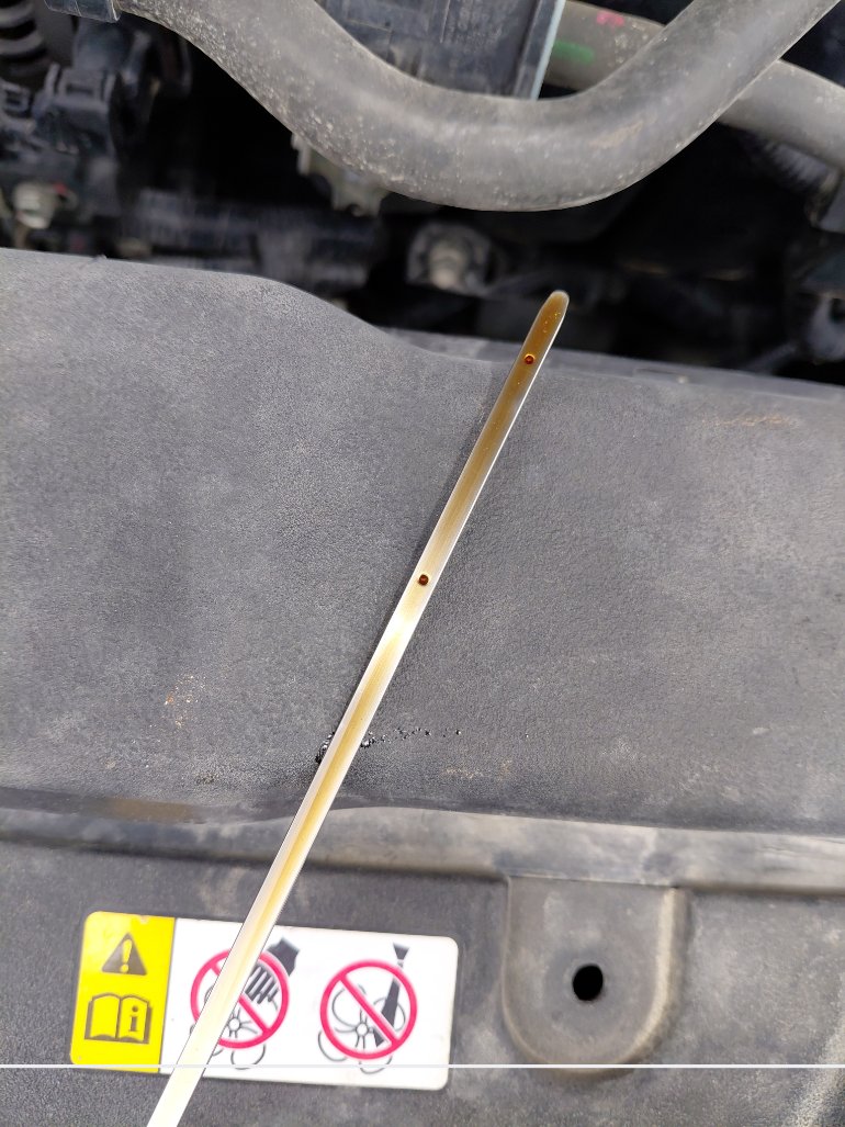 تويوتا كورولا XLI EXE M/R  2023 image