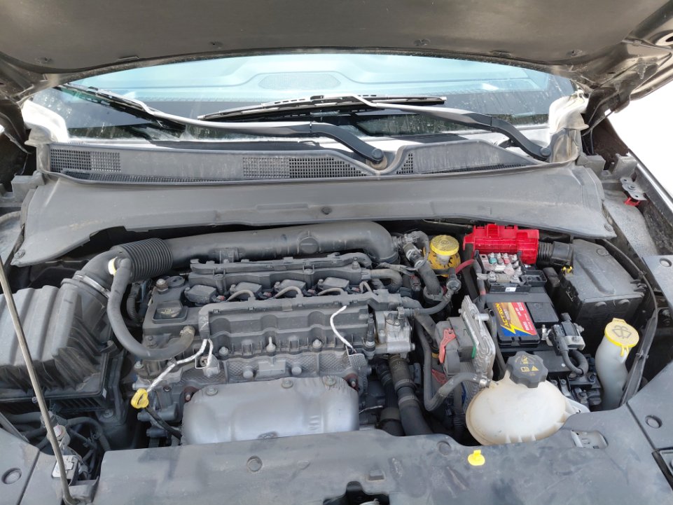 جيب كومباس ليمتد رياضيه  2021 image