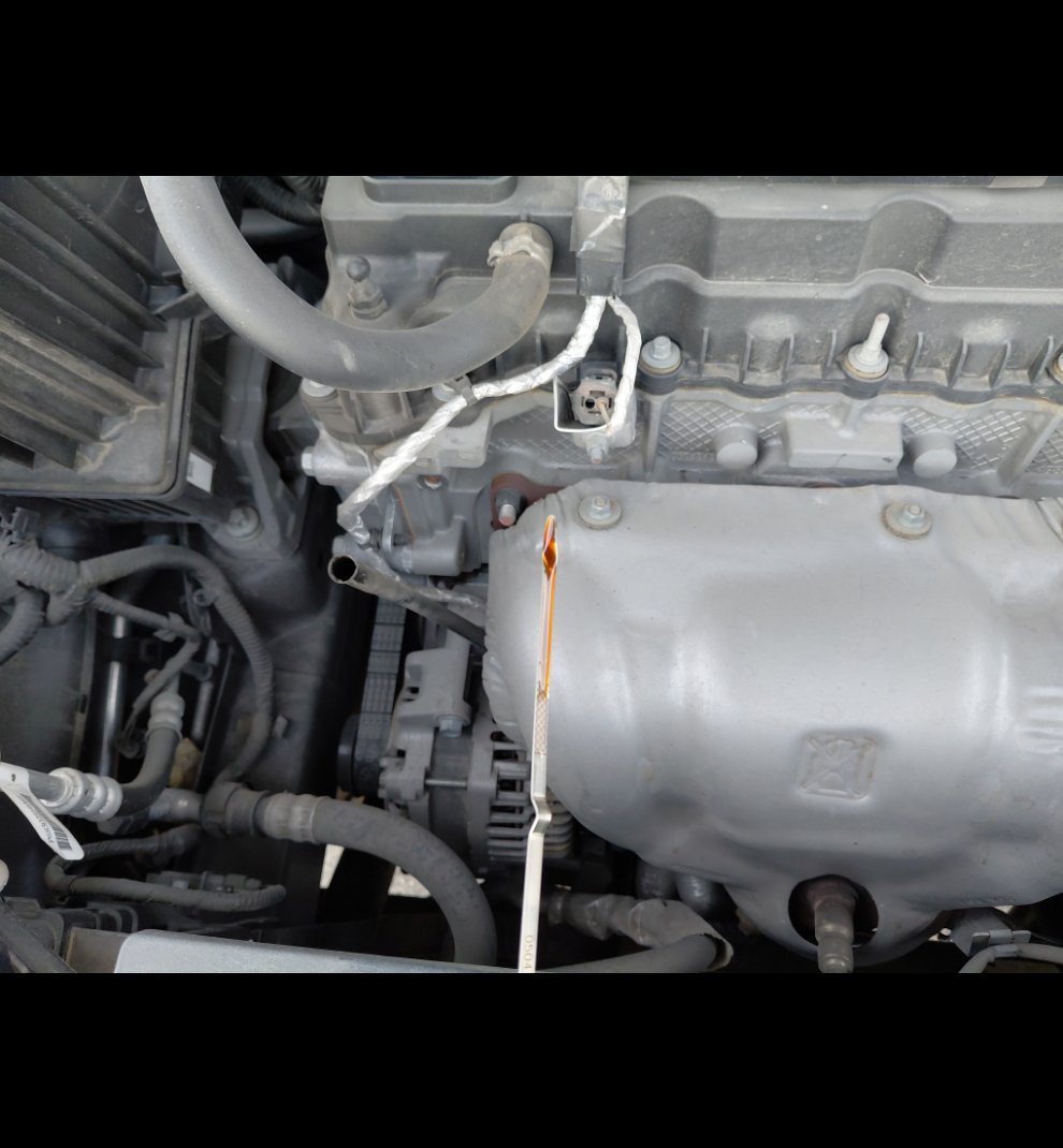 جيب كومباس ليمتد رياضيه  2021 image