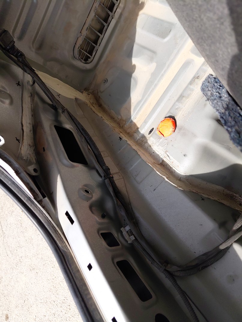 Toyota Yaris Y 2019 image