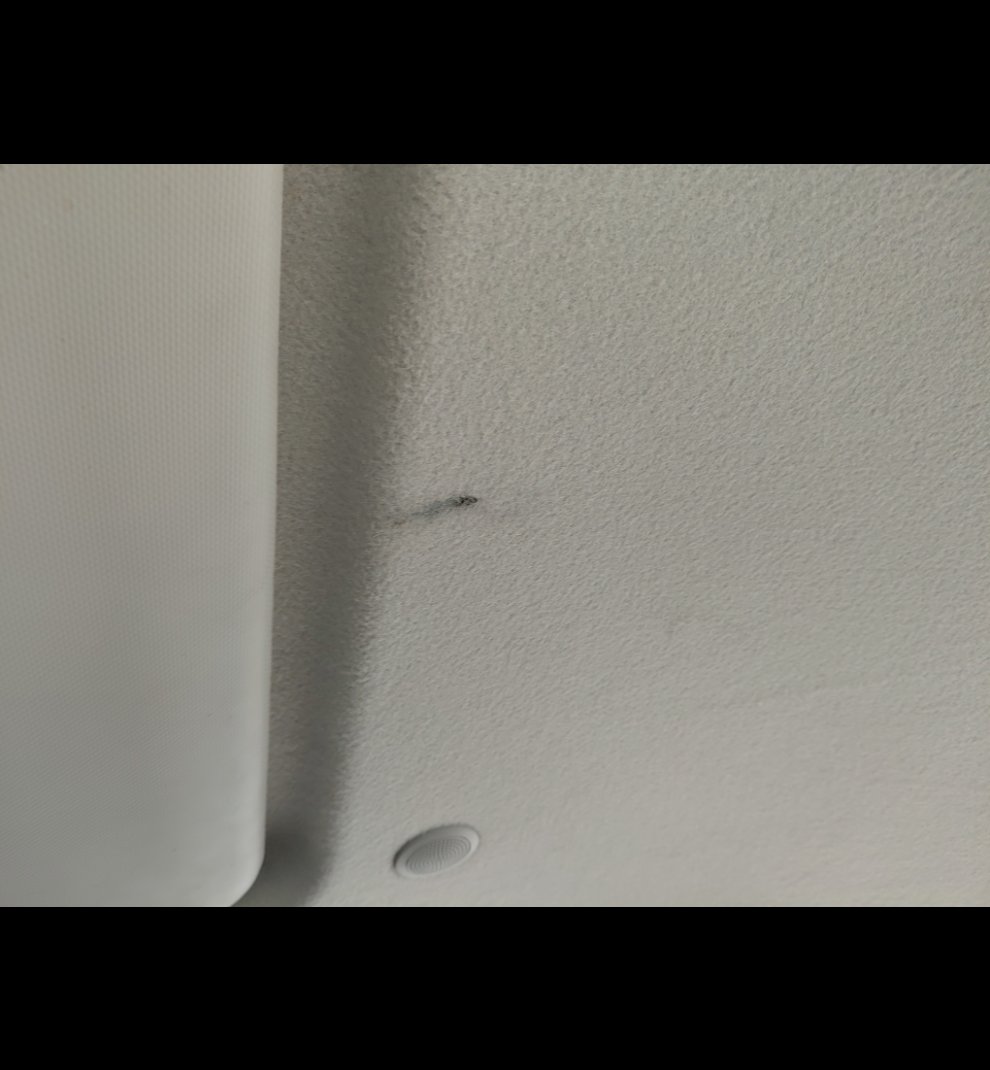 KIA Pegas STD 2023 image