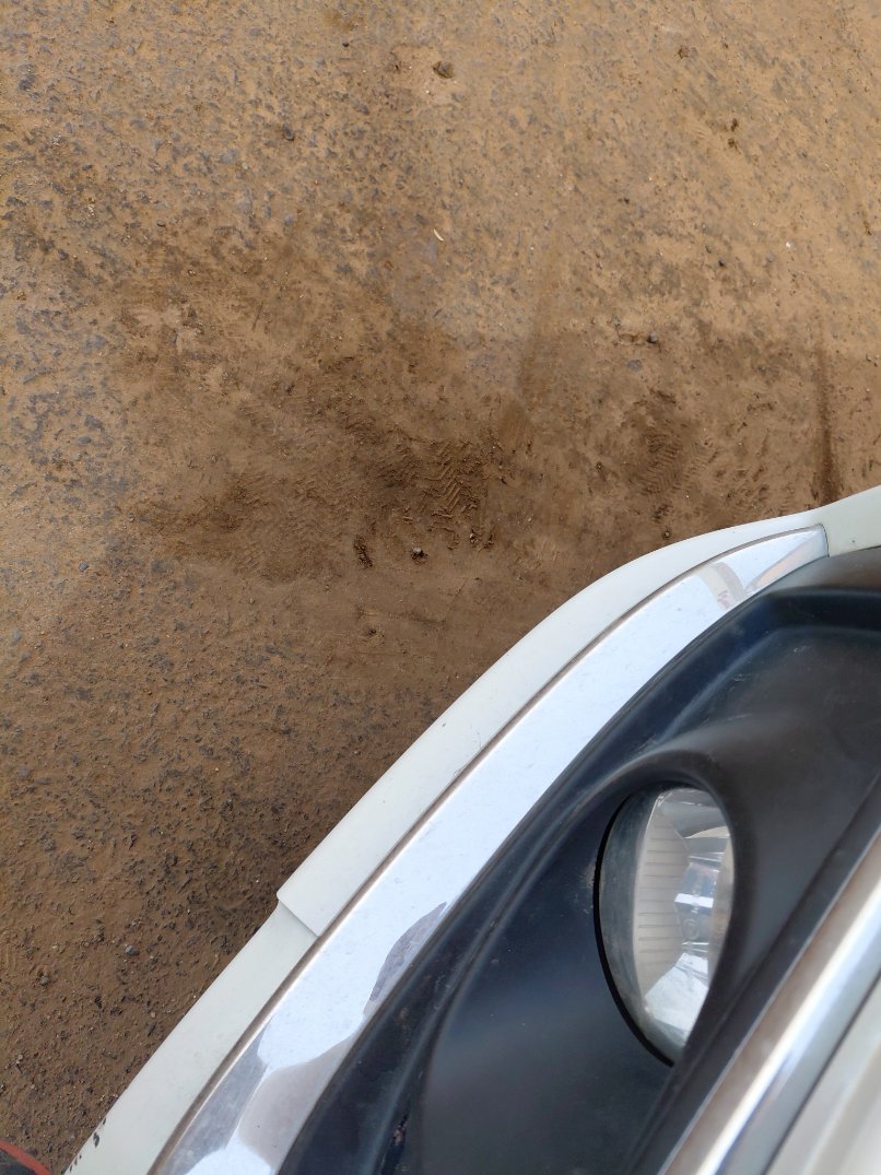 Suzuki Ciaz GLX 2024 image