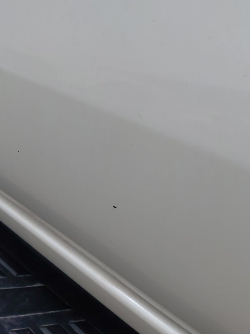Toyota Fortuner GX2 2022 image