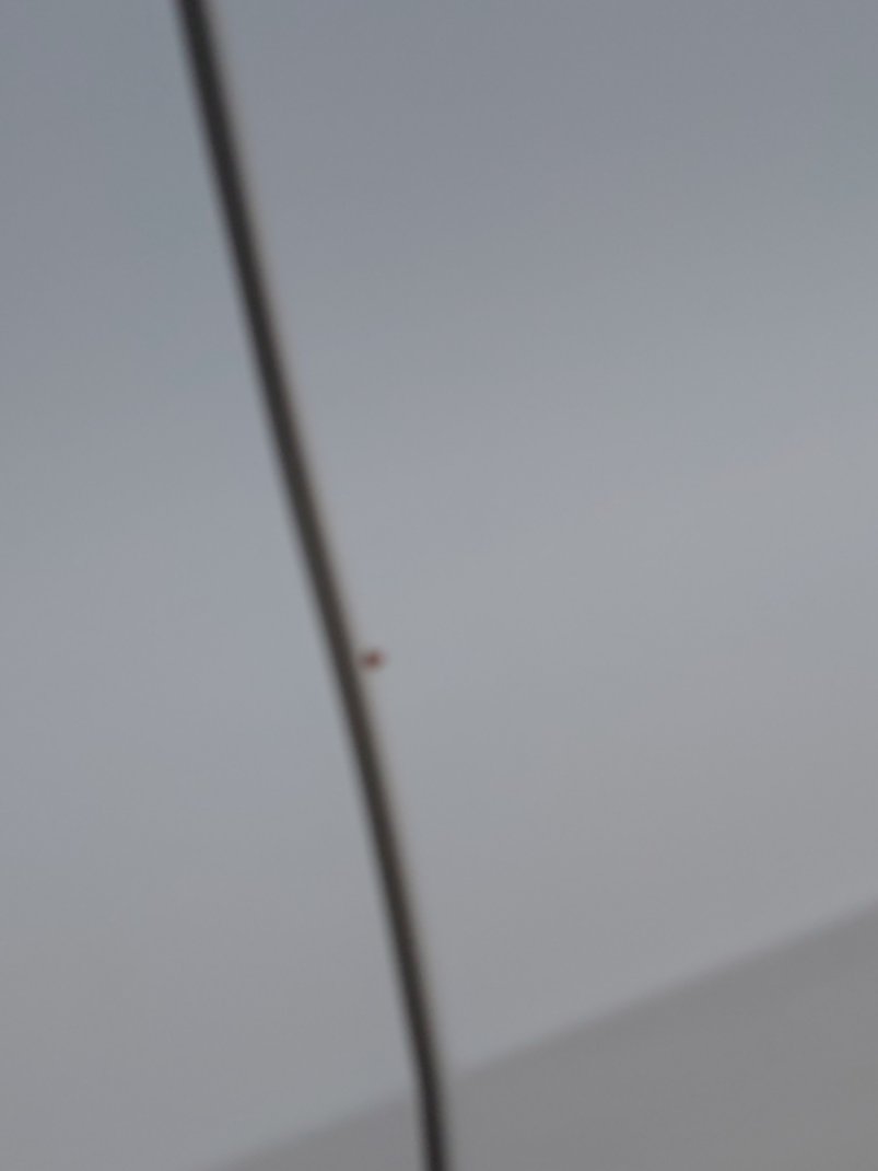 تويوتا فورتشنر GX2 2022 image