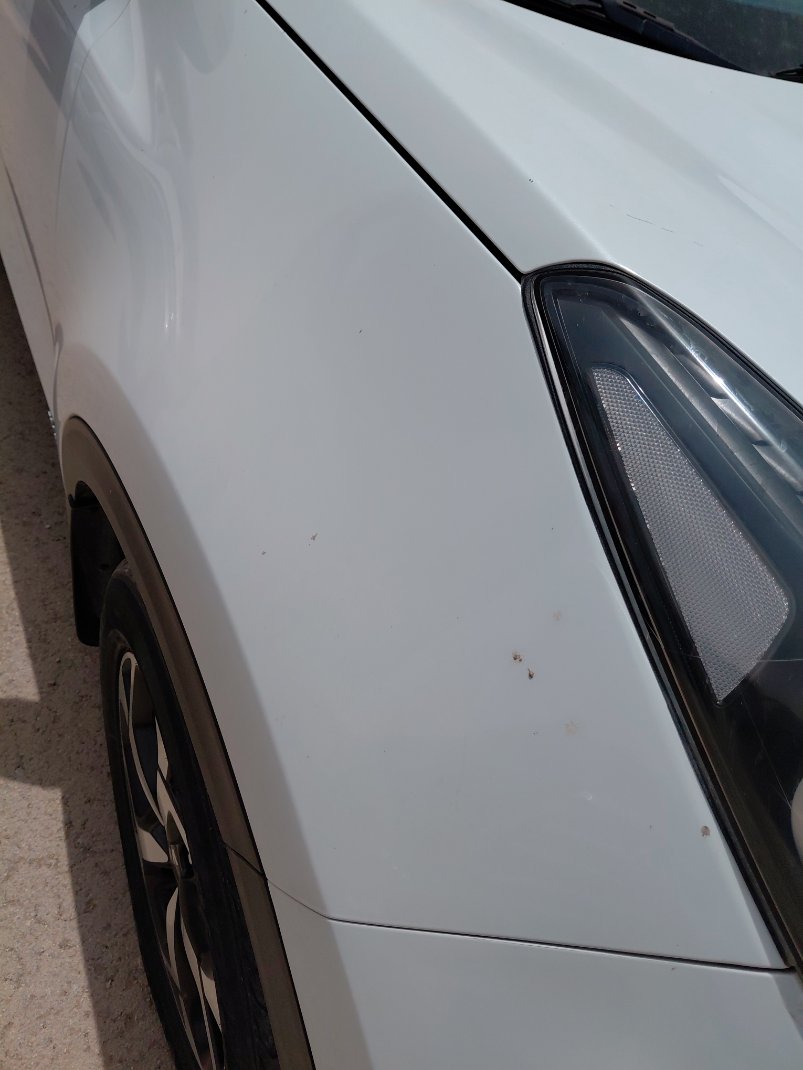 كيا سبورتاج QLE LX 4WD 2022 image