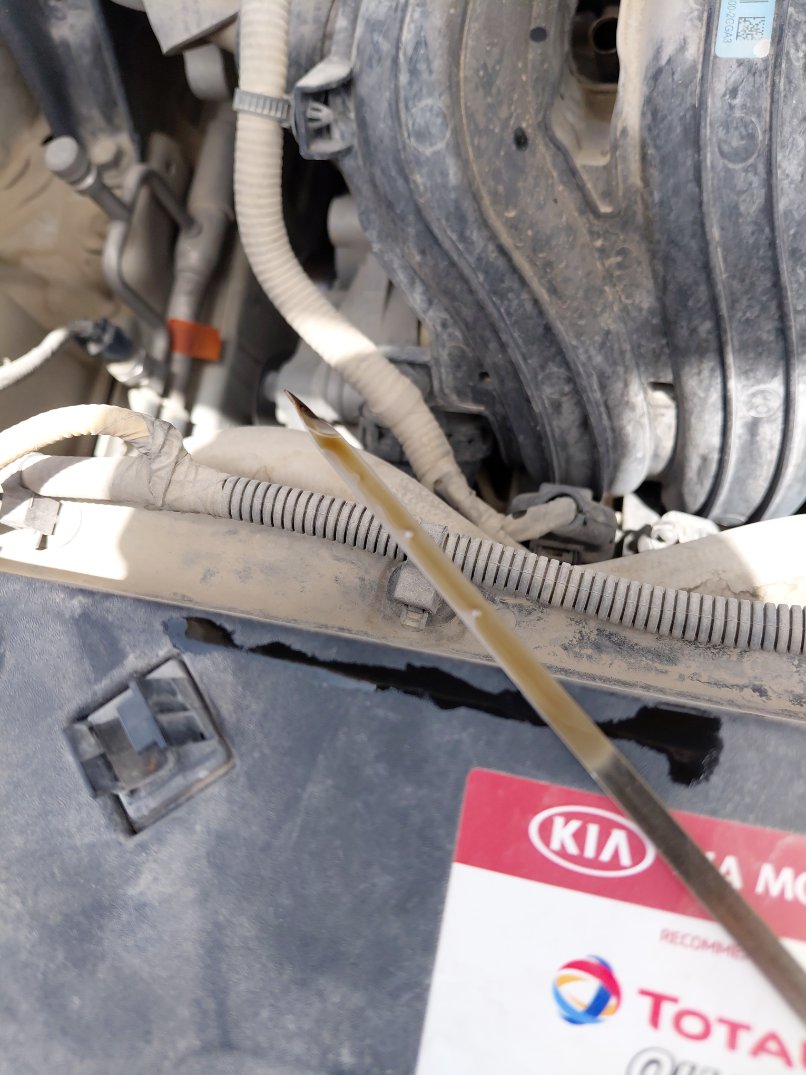 KIA Sportage QLE LX 4WD 2020 image