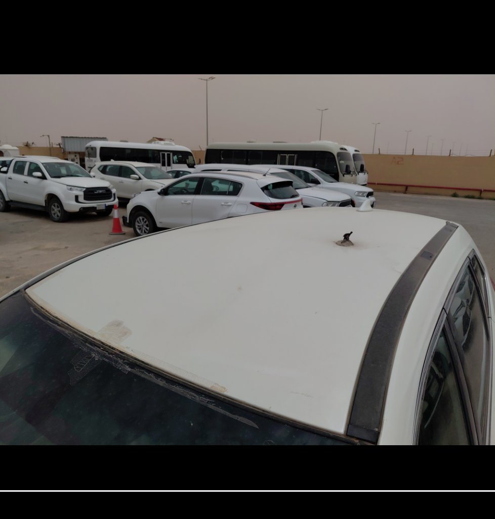 نيسان X-Trail  2021 image