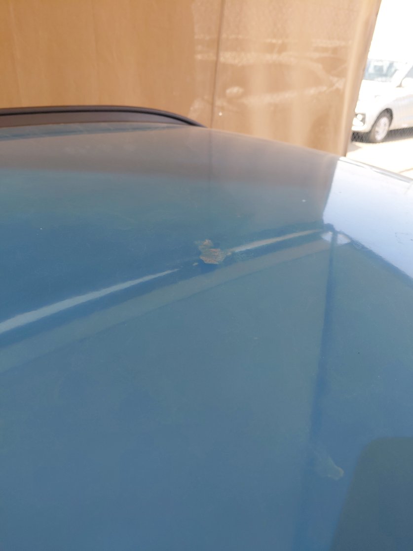 Hyundai Kona FLEET SPORTS UTILITY 2022 image