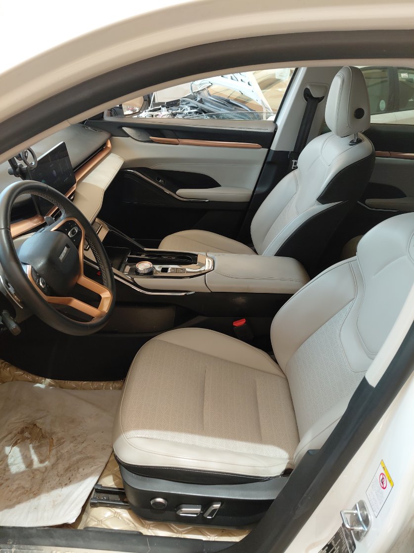 هافال H6 بريميم رياضية 2022 image