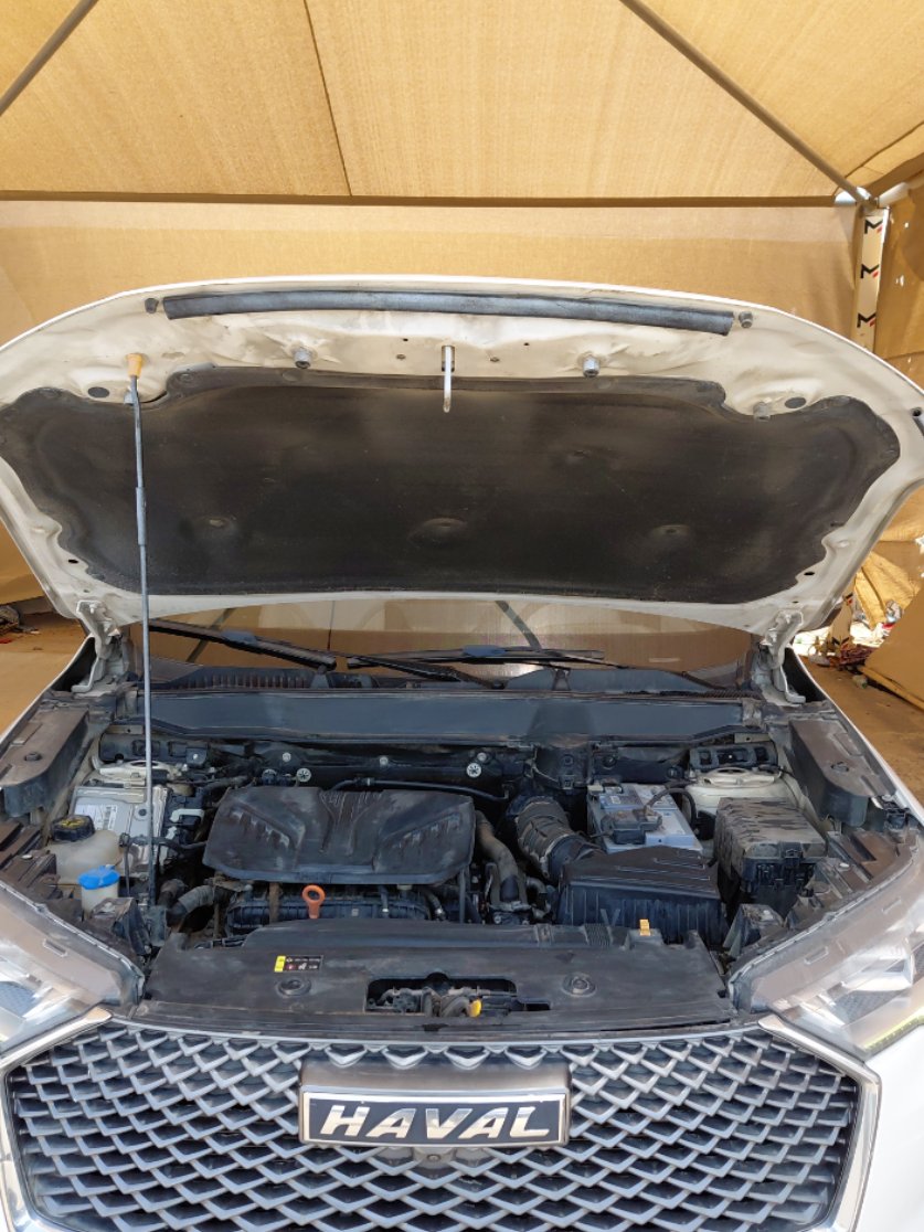 هافال H6 بريميم رياضية 2022 image