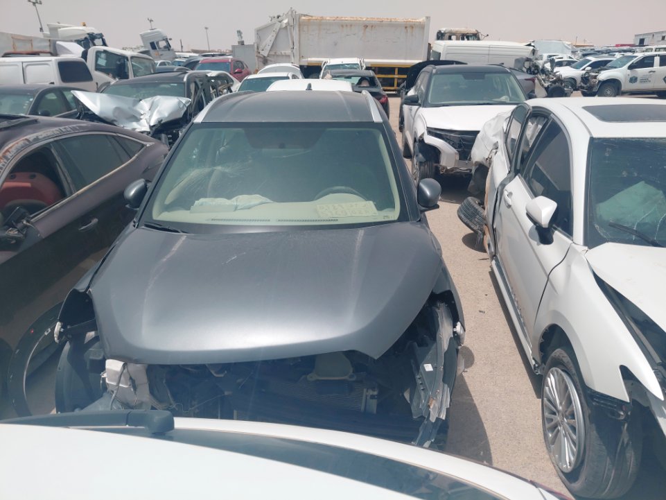 نيسان كيكس  2024 image