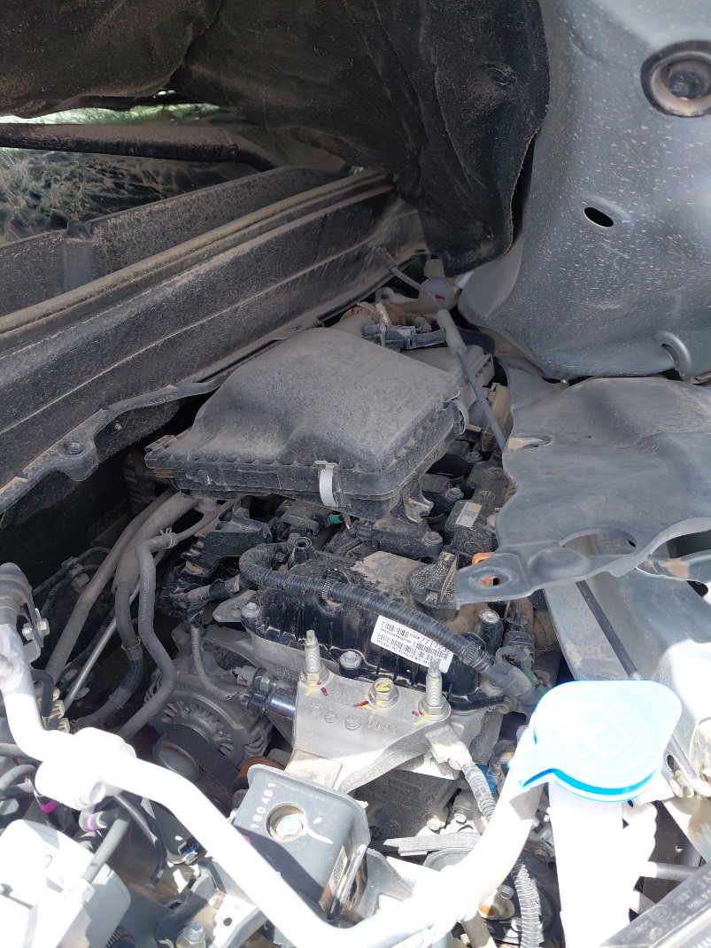 تويوتا اوربان كروز  2025 image