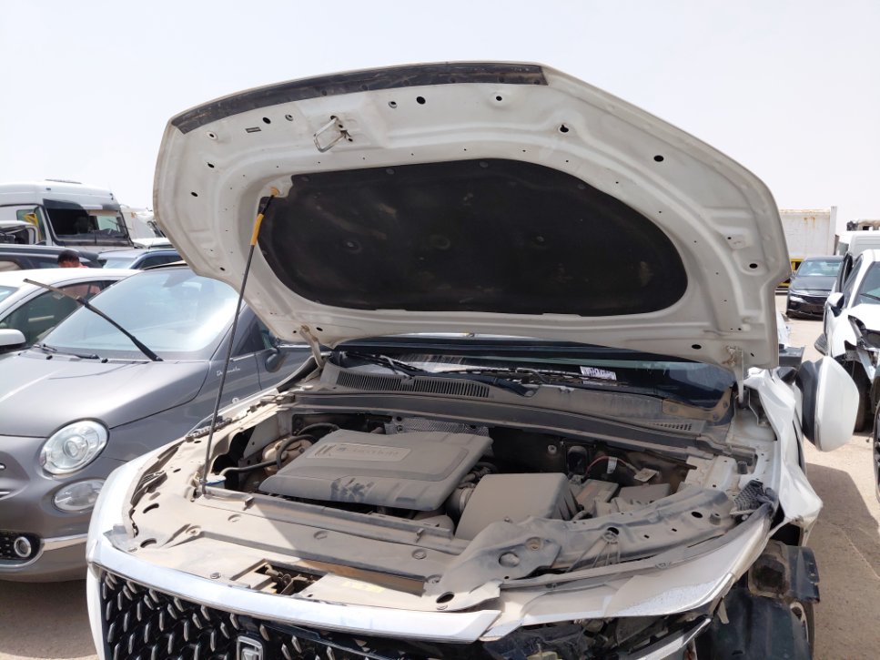 فاو بيستون تي 77  2023 image