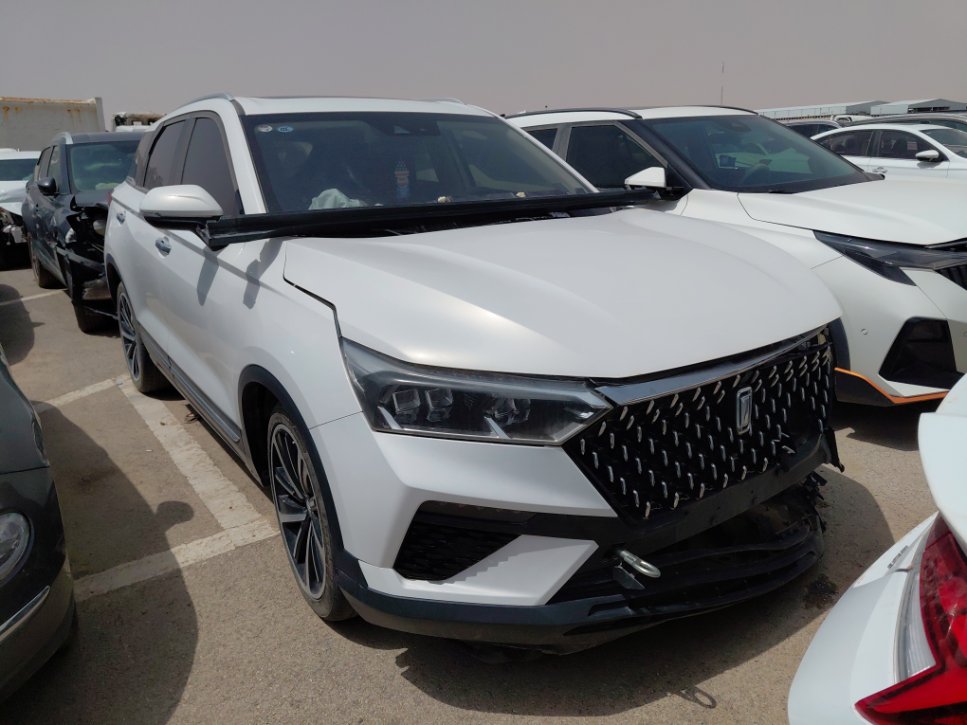 فاو بيستون تي 77  2023 image