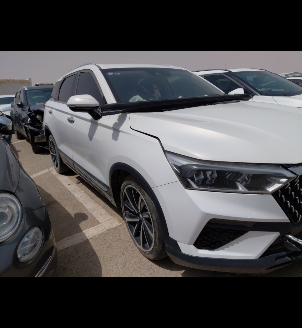 فاو بيستون تي 77  2023 image