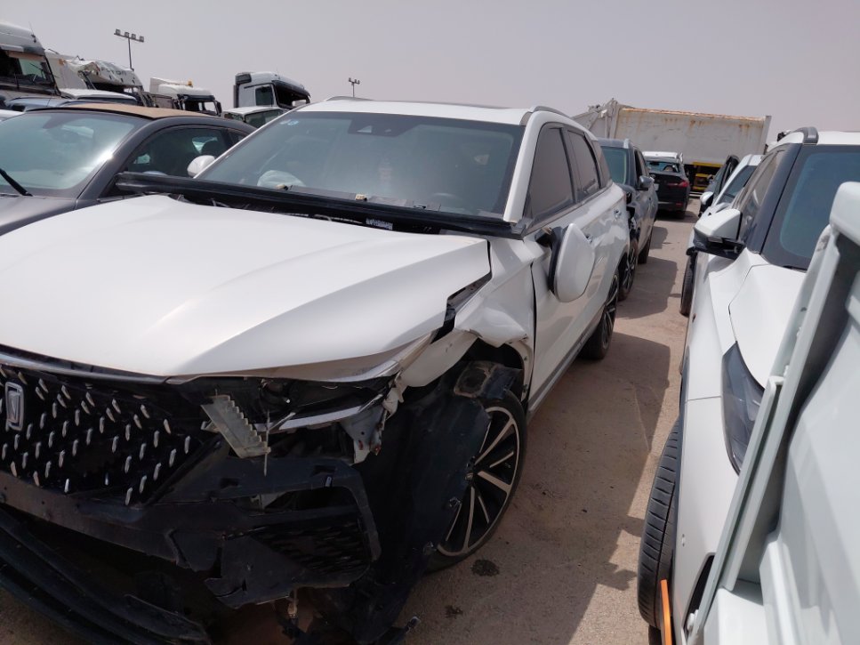 فاو بيستون تي 77  2023 image