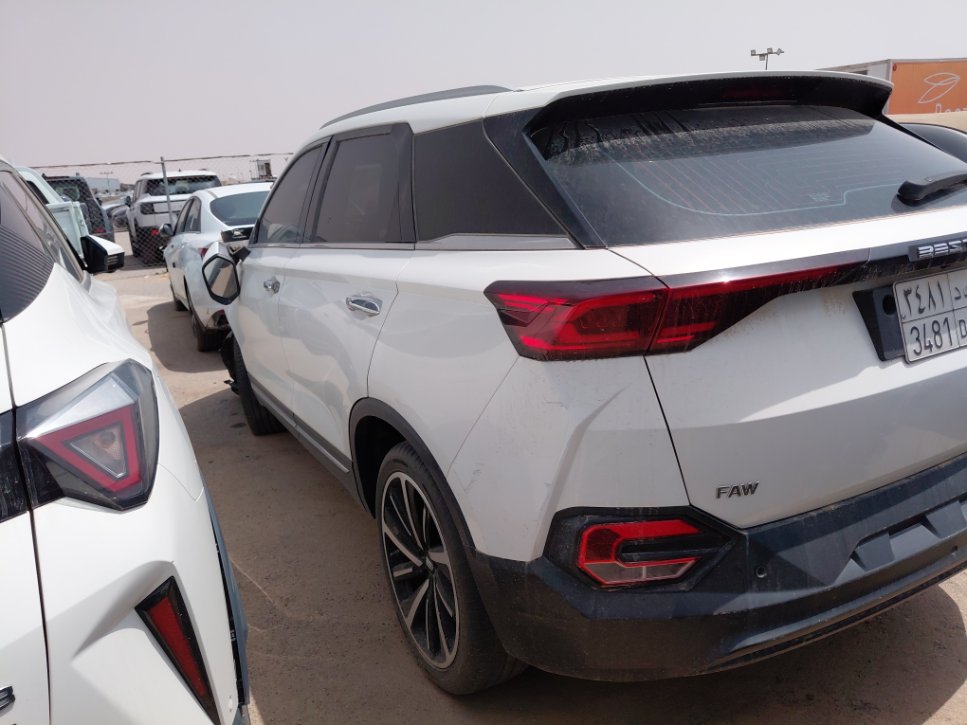 فاو بيستون تي 77  2023 image