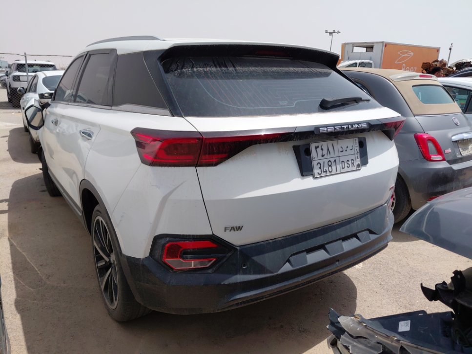 فاو بيستون تي 77  2023 image