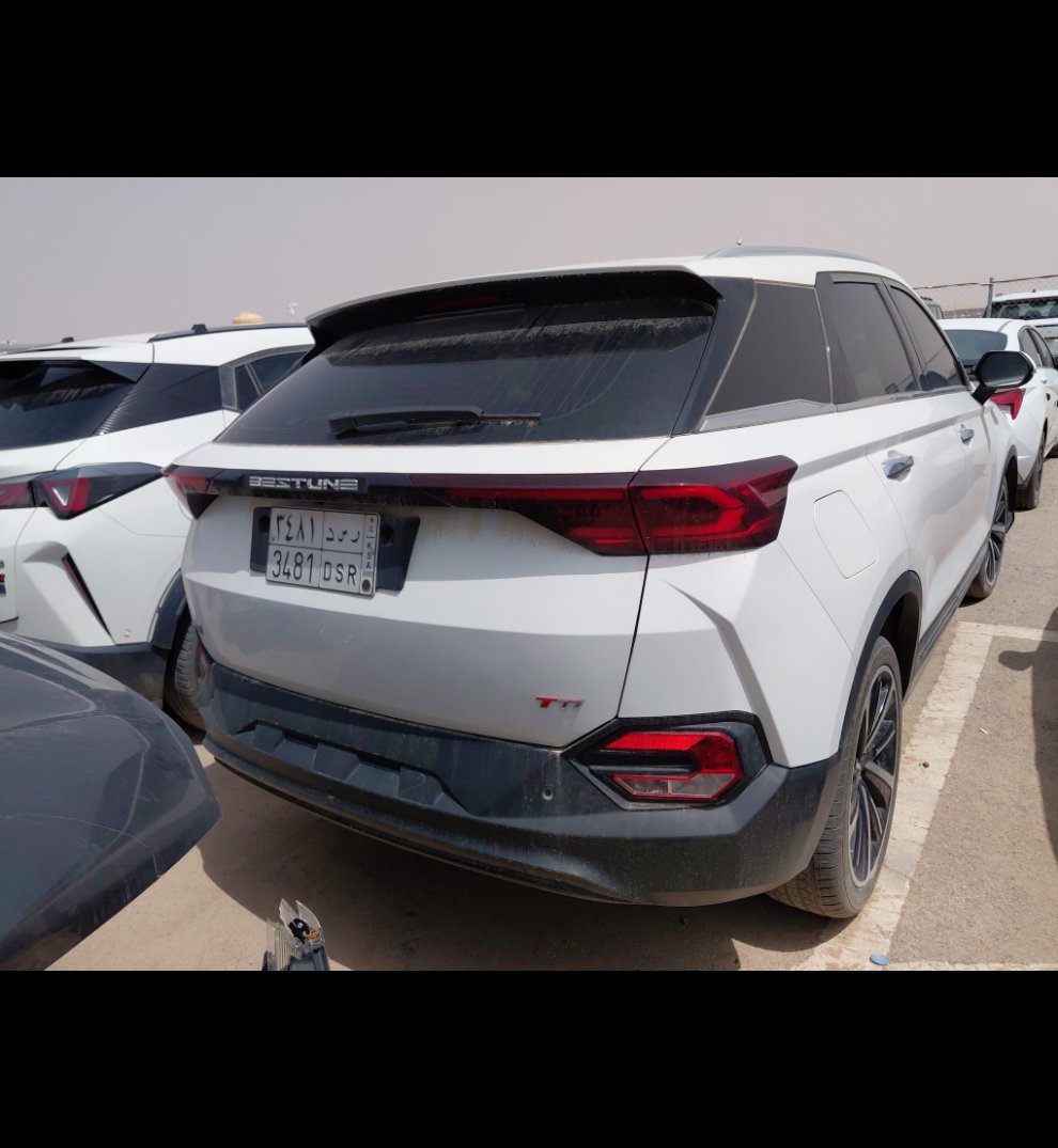 فاو بيستون تي 77  2023 image