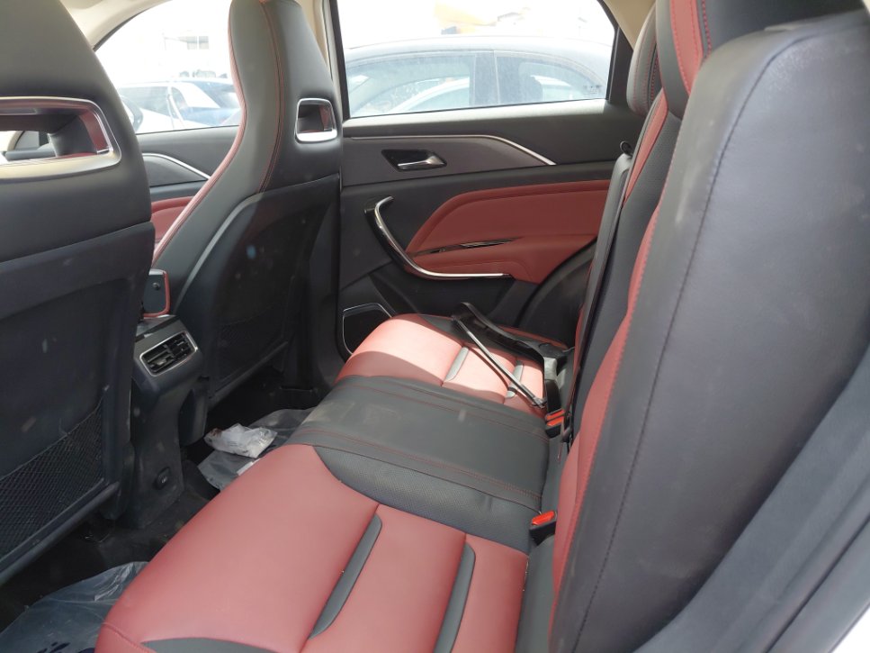 فاو بيستون تي 77  2023 image