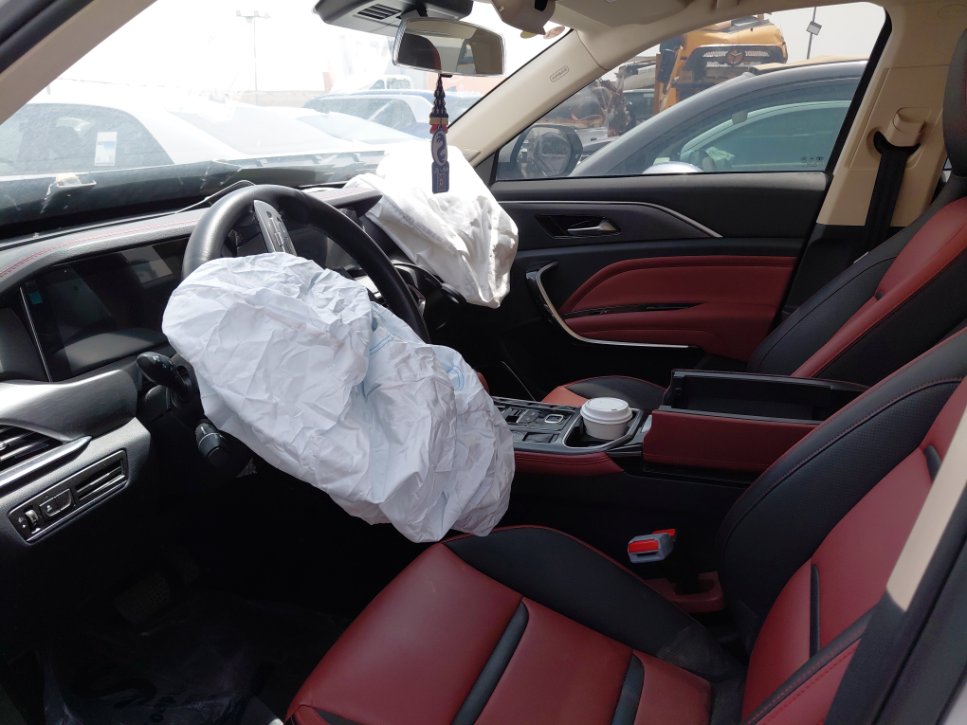 فاو بيستون تي 77  2023 image