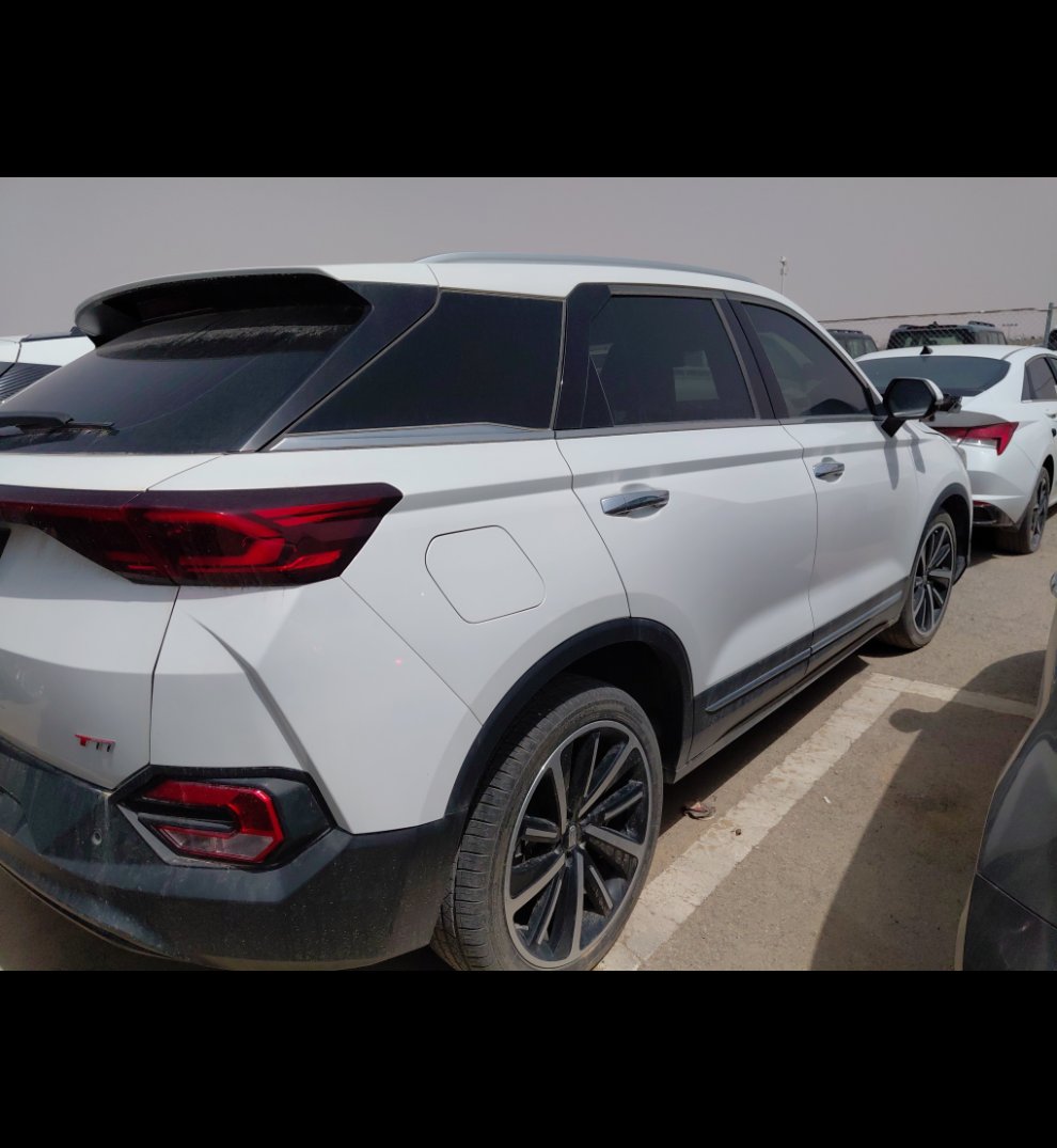 فاو بيستون تي 77  2023 image