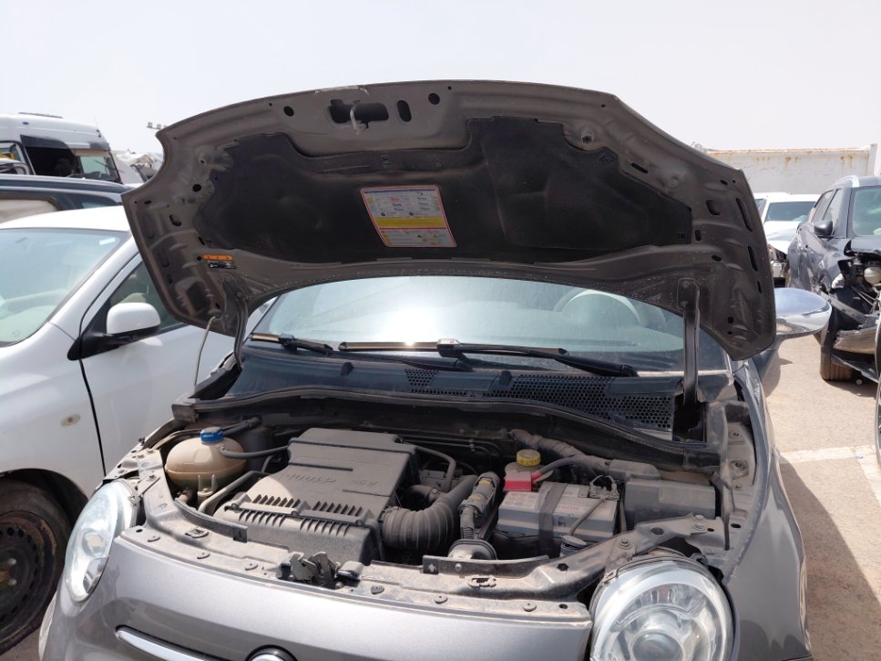 فيات 500  2022 image