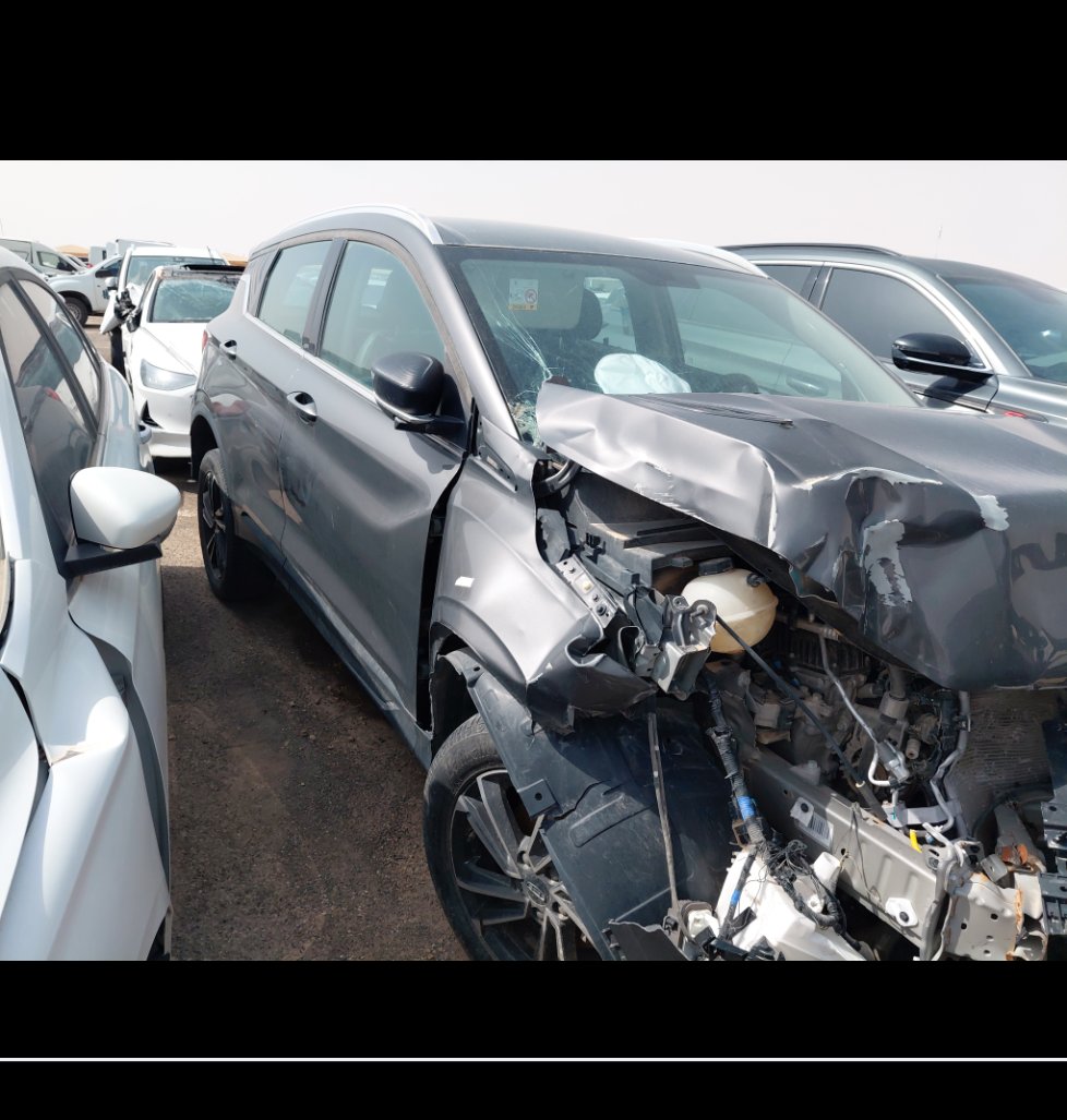 جيلي كول راي  2024 image