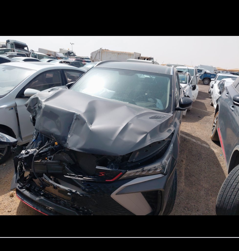 جيلي كول راي  2024 image