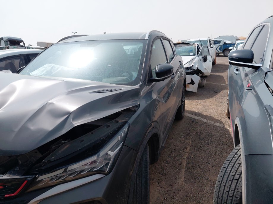 جيلي كول راي  2024 image