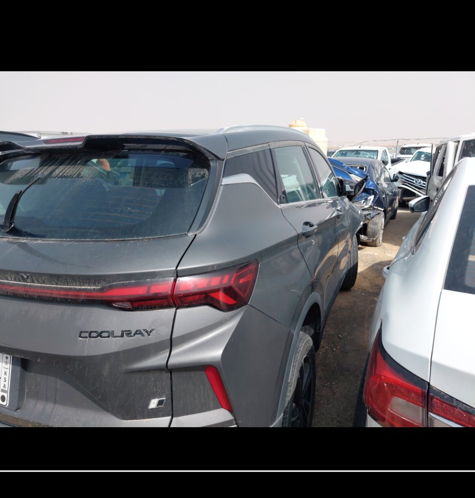 جيلي كول راي  2024 image