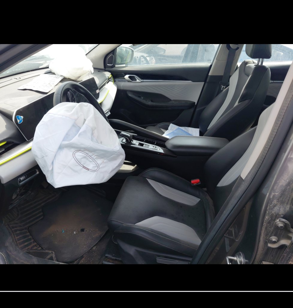 جيلي كول راي  2024 image