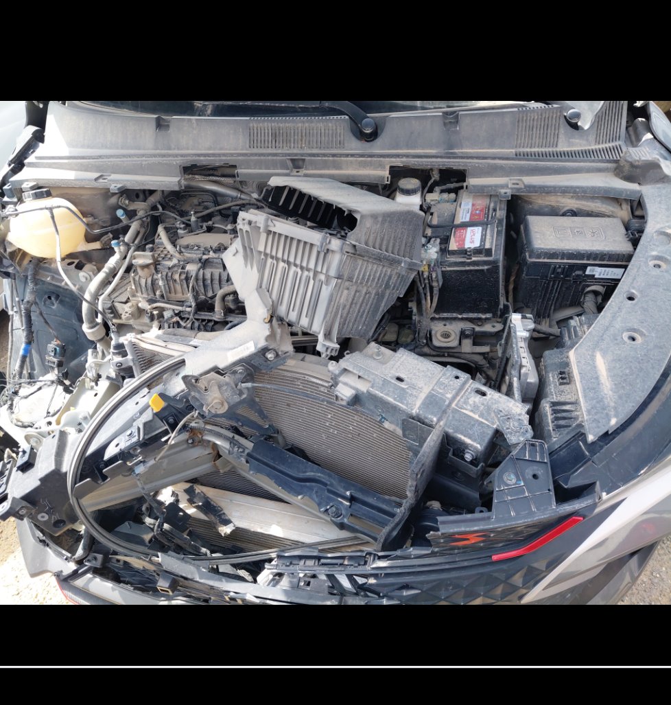 جيلي كول راي  2024 image